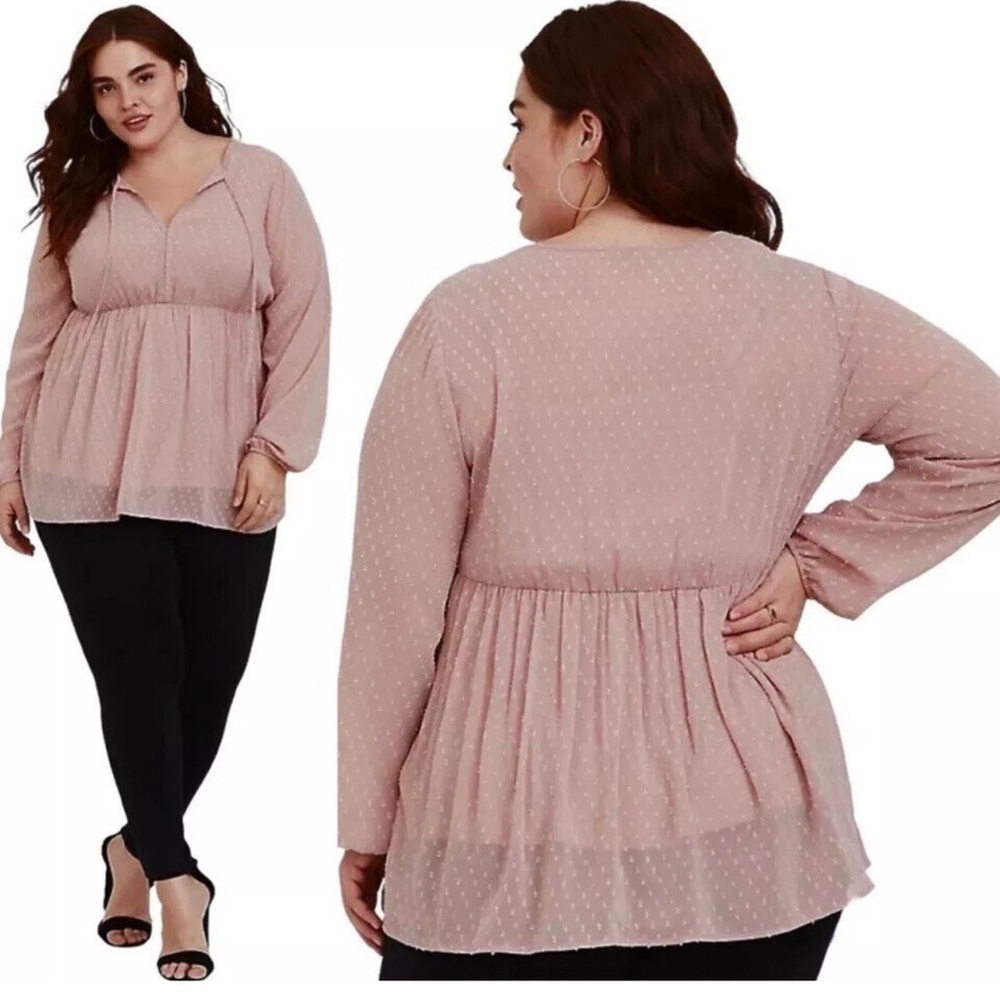 Blush sheer swiss dot tunic NWT